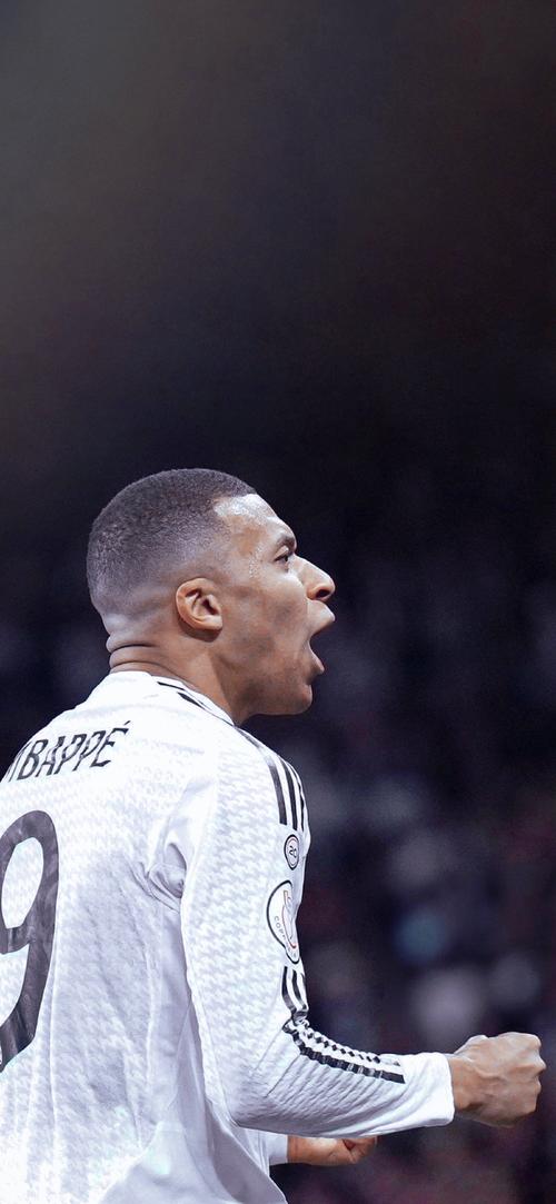 侧翼与正面 侧翼与正面